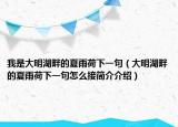 我是大明湖畔的夏雨荷下一句（大明湖畔的夏雨荷下一句怎么接簡介介紹）
