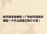 封開南豐是哪里（廣東封開縣南豐鎮(zhèn)是一個什么的地方簡介介紹）