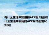 有什么生活中實(shí)用的APP呢介紹(有什么生活中實(shí)用的APP呢詳細(xì)情況如何)