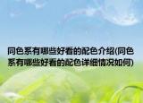 同色系有哪些好看的配色介紹(同色系有哪些好看的配色詳細(xì)情況如何)
