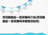 項(xiàng)羽眼睛是一目雙瞳嗎介紹(項(xiàng)羽眼睛是一目雙瞳嗎詳細(xì)情況如何)