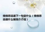 綿綿思遠(yuǎn)道下一句是什么（綿綿思遠(yuǎn)道什么梗簡(jiǎn)介介紹）