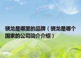 驍龍是哪里的品牌（驍龍是哪個(gè)國(guó)家的公司簡(jiǎn)介介紹）