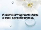 虎媽貓爸主要什么劇情介紹(虎媽貓爸主要什么劇情詳細情況如何)