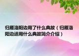 歸雁洛陽邊用了什么典故（歸雁洛陽邊運用什么典故簡介介紹）