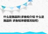 什么是拋晶磚(求告知介紹 什么是拋晶磚 求告知詳細情況如何)