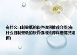 有什么自制壁紙的軟件值得推薦介紹(有什么自制壁紙的軟件值得推薦詳細情況如何)