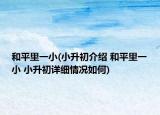 和平里一小(小升初介紹 和平里一小 小升初詳細(xì)情況如何)