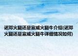 諾鄧火腿還是宣威火腿牛介紹(諾鄧火腿還是宣威火腿牛詳細(xì)情況如何)