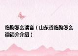 臨朐怎么讀音（山東省臨朐怎么讀簡(jiǎn)介介紹）