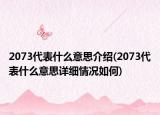 2073代表什么意思介紹(2073代表什么意思詳細情況如何)