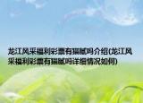 龍江風采福利彩票有貓膩嗎介紹(龍江風采福利彩票有貓膩嗎詳細情況如何)