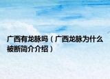 廣西有龍脈嗎（廣西龍脈為什么被斷簡(jiǎn)介介紹）