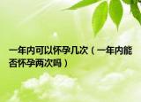 一年內(nèi)可以懷孕幾次（一年內(nèi)能否懷孕兩次嗎）