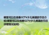 哪里可以在線看CCTV少兒頻道的節(jié)目介紹(哪里可以在線看CCTV少兒頻道的節(jié)目詳細情況如何)
