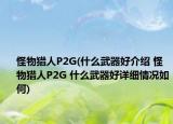 怪物獵人P2G(什么武器好介紹 怪物獵人P2G 什么武器好詳細(xì)情況如何)