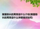 揠苗助長的寓意是什么介紹(揠苗助長的寓意是什么詳細(xì)情況如何)