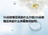 11朵玫瑰花語是什么介紹(11朵玫瑰花語是什么詳細情況如何)