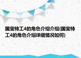 國寶特工4的角色介紹介紹(國寶特工4的角色介紹詳細情況如何)