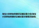 淘寶小賣家如何做好店鋪運營介紹(淘寶小賣家如何做好店鋪運營詳細(xì)情況如何)