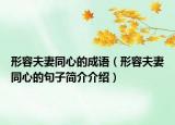形容夫妻同心的成語（形容夫妻同心的句子簡介介紹）
