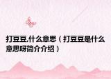 打豆豆,什么意思（打豆豆是什么意思呀簡(jiǎn)介介紹）