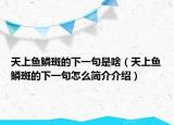天上魚(yú)鱗斑的下一句是啥（天上魚(yú)鱗斑的下一句怎么簡(jiǎn)介介紹）