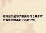 描寫音樂的句子唯美短句（關(guān)于欣賞音樂的唯美句子簡介介紹）