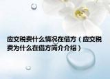 應(yīng)交稅費(fèi)什么情況在借方（應(yīng)交稅費(fèi)為什么在借方簡介介紹）