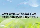 三星手機(jī)密碼忘記了怎么辦（三星手機(jī)忘了鎖屏密碼怎么解簡(jiǎn)介介紹）
