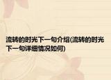 流轉(zhuǎn)的時光下一句介紹(流轉(zhuǎn)的時光下一句詳細情況如何)