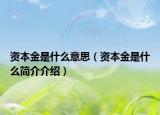 資本金是什么意思（資本金是什么簡(jiǎn)介介紹）