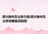 鄭大附中怎么樣介紹(鄭大附中怎么樣詳細(xì)情況如何)