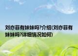 劉亦菲有妹妹嗎?介紹(劉亦菲有妹妹嗎?詳細情況如何)
