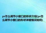 pr怎么調節(jié)小窗口的形狀介紹(pr怎么調節(jié)小窗口的形狀詳細情況如何)