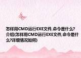 怎樣用CMD運(yùn)行EXE文件,命令是什么?介紹(怎樣用CMD運(yùn)行EXE文件,命令是什么?詳細(xì)情況如何)