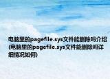 電腦里的pagefile.sys文件能刪除嗎介紹(電腦里的pagefile.sys文件能刪除嗎詳細(xì)情況如何)