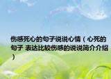 傷感死心的句子說(shuō)說(shuō)心情（心死的句子 表達(dá)比較傷感的說(shuō)說(shuō)簡(jiǎn)介介紹）