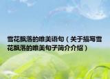 雪花飄落的唯美語(yǔ)句（關(guān)于描寫雪花飄落的唯美句子簡(jiǎn)介介紹）