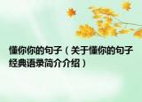 懂你你的句子（關(guān)于懂你的句子經(jīng)典語錄簡(jiǎn)介介紹）