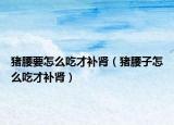 豬腰要怎么吃才補(bǔ)腎（豬腰子怎么吃才補(bǔ)腎）