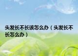頭發(fā)長不長該怎么辦（頭發(fā)長不長怎么辦）