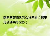 指甲月牙消失怎么補(bǔ)回來(lái)（指甲月牙消失怎么辦）