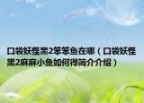 口袋妖怪黑2笨笨魚在哪（口袋妖怪黑2麻麻小魚如何得簡(jiǎn)介介紹）