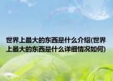 世界上最大的東西是什么介紹(世界上最大的東西是什么詳細情況如何)