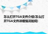 怎么打開TGA文件介紹(怎么打開TGA文件詳細情況如何)