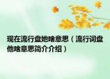 現(xiàn)在流行盤她啥意思（流行詞盤他啥意思簡介介紹）