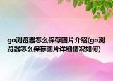 go瀏覽器怎么保存圖片介紹(go瀏覽器怎么保存圖片詳細(xì)情況如何)