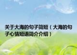 關于大海的句子簡短（大海的句子心情短語簡介介紹）