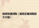 如何快速訓(xùn)狗（如何正確訓(xùn)狗簡介介紹）